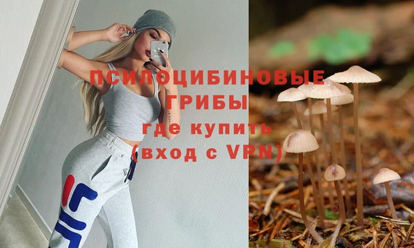 индика Бронницы