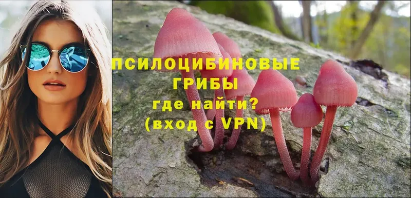 Псилоцибиновые грибы MAGIC MUSHROOMS  Задонск 